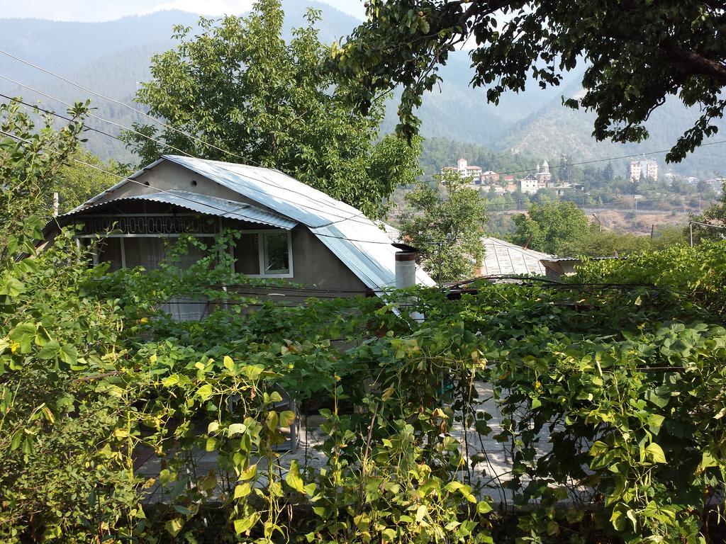 Bacho,S Cottage Bordschomi Exterior foto